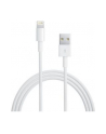 Apple przewód Lightning na USB (2 m) retail packed - nr 17
