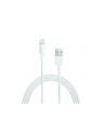Apple przewód Lightning na USB (2 m) retail packed - nr 2