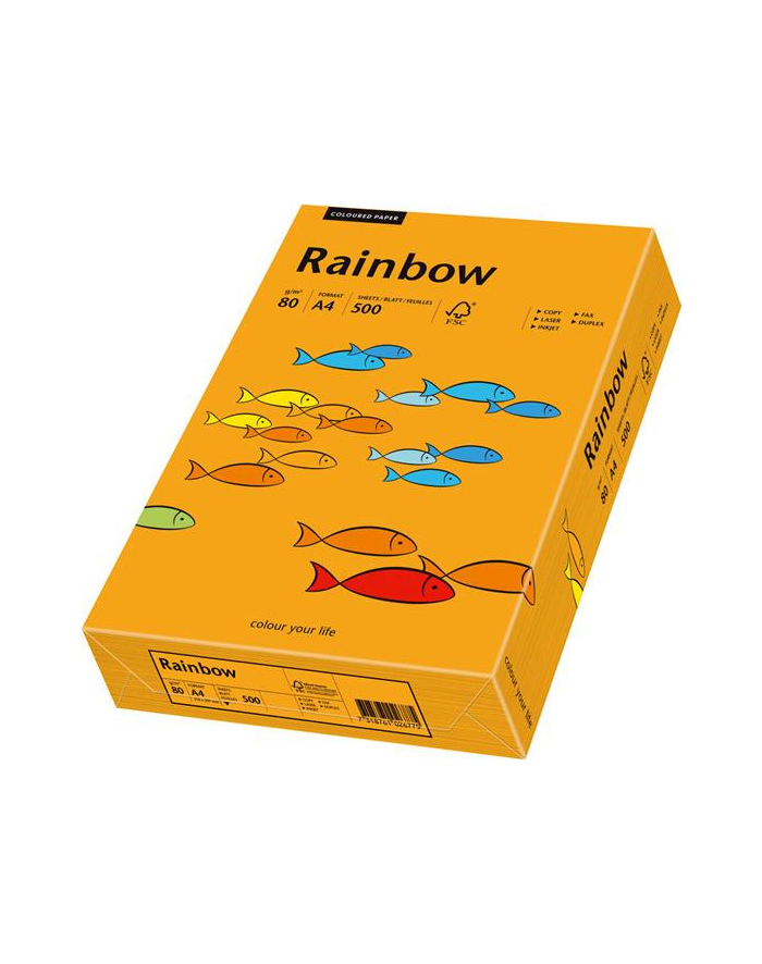 papier kolorowy Rainbow pomarańczowy 24 główny