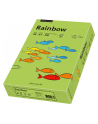 papier kolorowy Rainbow zielony 76 - nr 4