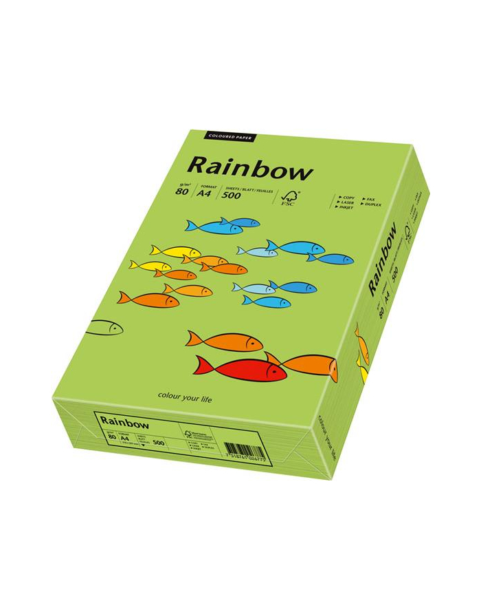 papier kolorowy Rainbow zielony 76 główny