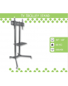 Techly Stojak mobilny do TV LCD/LED/Plazma 30''-65'' 60kg VESA pochylany z półką - nr 1