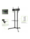 Techly Stojak mobilny do TV LCD/LED/Plazma 30''-65'' 60kg VESA pochylany z półką - nr 27