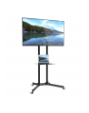 Techly Stojak mobilny do TV LCD/LED/Plazma 30''-65'' 60kg VESA pochylany z półką - nr 38