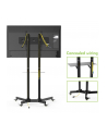 Techly Stojak mobilny do TV LCD/LED/Plazma 30''-65'' 60kg VESA pochylany z półką - nr 43