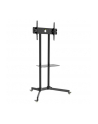 Techly Stojak mobilny do TV LCD/LED/Plazma 30''-65'' 60kg VESA pochylany z półką - nr 48