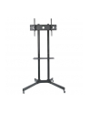 Techly Stojak mobilny do TV LCD/LED/Plazma 30''-65'' 60kg VESA pochylany z półką - nr 50