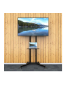Techly Stojak mobilny do TV LCD/LED/Plazma 30''-65'' 60kg VESA pochylany z półką - nr 53
