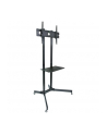 Techly Stojak mobilny do TV LCD/LED/Plazma 30''-65'' 60kg VESA pochylany z półką - nr 54
