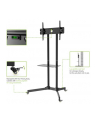 Techly Stojak mobilny do TV LCD/LED/Plazma 30''-65'' 60kg VESA pochylany z półką - nr 57