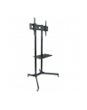 Techly Stojak mobilny do TV LCD/LED/Plazma 30''-65'' 60kg VESA pochylany z półką - nr 60