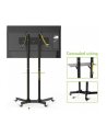 Techly Stojak mobilny do TV LCD/LED/Plazma 30''-65'' 60kg VESA pochylany z półką - nr 61