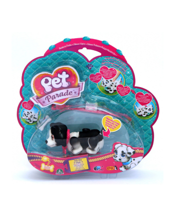 EPEE Pet Parade  Border Collie 1pack