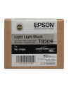 Singlepack Photo Light Light Black cartridge, T850900 - nr 2