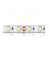 Whitenergy taśma LED 50m | 5050 | 14.4W/m | 12V DC | Biała | IP20 - nr 6