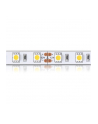 Whitenergy taśma LED 50m | 5050 | 14.4W/m | 12V DC | ciepła biała | IP20 - nr 6