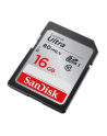 SanDisk karta pamięci Ultra SDHC 16GB Class 10 UHS-I, Odczyt: do 80MB/s - nr 30