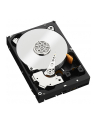 Western Digital Dysk twardy WD Blue, 3.5'', 1TB, SATA/600, 7200RPM, 64MB cache - nr 20