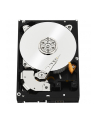 Western Digital Dysk twardy WD Blue, 3.5'', 1TB, SATA/600, 7200RPM, 64MB cache - nr 22