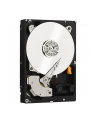 Western Digital Dysk twardy WD Blue, 3.5'', 1TB, SATA/600, 7200RPM, 64MB cache - nr 25