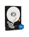 Western Digital Dysk twardy WD Blue, 3.5'', 1TB, SATA/600, 7200RPM, 64MB cache - nr 32