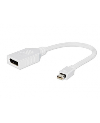 Gembird adapter Displayport mini(M) -> Displayport(F), biały, na kablu 10cm
