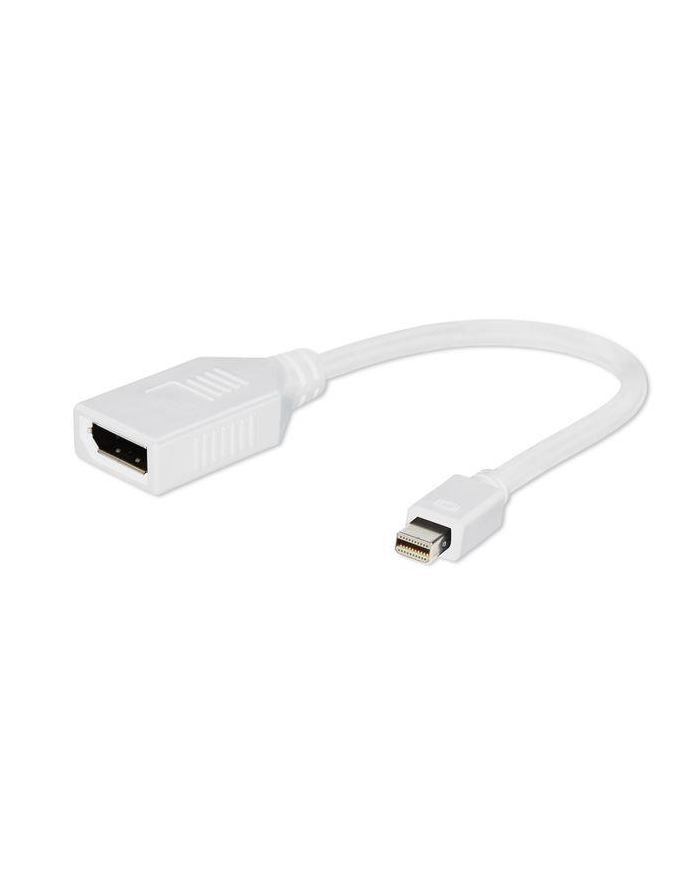Gembird adapter Displayport mini(M) -> Displayport(F), biały, na kablu 10cm główny
