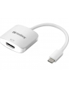 Sandberg Kabel USB-C - HDMI - nr 10