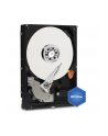 Western Digital Dysk twardy WD Blue, 3.5'', 500GB, SATA/600, 32MB cache - nr 14