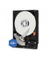 Western Digital Dysk twardy WD Blue, 3.5'', 500GB, SATA/600, 32MB cache - nr 20