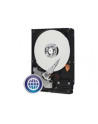 Western Digital Dysk twardy WD Blue, 3.5'', 500GB, SATA/600, 32MB cache - nr 6