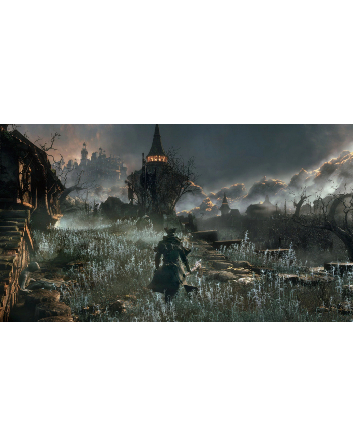 Gra PS4 Bloodborne GOTY główny