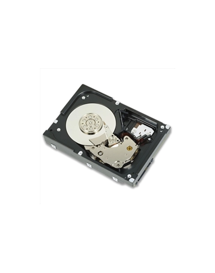 Dell 300GB 15k RPM SAS 12Gbps 3,5'' (2,5'' in 3,5'') - 13gen. (T/R430, R530,630) główny