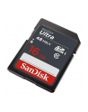 SANDISK 16GB Ultra SDHC 48MB/s Class 10 UHS-I - nr 15