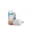 ŻARÓWKA ABILITE E27 MANGO ''''MLECZNA'''' B.CIEPŁY 20W/230V 1600lm kąt św. 270Â° (RETRO) M70 - nr 6
