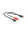 Delock kabel 2x USB 2.0 (AM) -> USB mini 5-pin, 0.3m - nr 3
