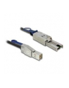 Delock kabel Mini SAS HD SFF-8644 > Mini SAS SFF-8088 3m - nr 3