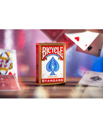 BICYCLE Rider Back International Std.