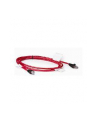 HP IP CAT5 Qty-8 6ft/2m Cable - nr 1