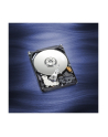 Dysk HDD Western Digital SCORPIO BLUE 2 5  320GB SATA III 16MB 5400obr/min WD3200LPCX - nr 35
