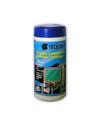 INCORE Ściereczki nasączone 100 szt. do czyszczenia plastiku