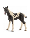 SCHLEICH Łaciaty źrebak - nr 9