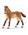 SCHLEICH Źrebak rasy tennessee - nr 6