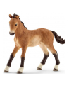 SCHLEICH Źrebak rasy tennessee - nr 7