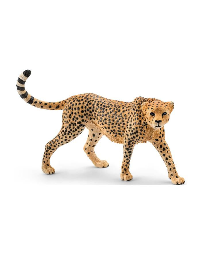 SCHLEICH Samica geparda główny