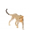SCHLEICH Samica geparda - nr 12