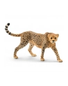 SCHLEICH Samica geparda - nr 6