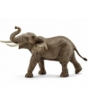 SCHLEICH Samiec słonia afrykańskiego - nr 11