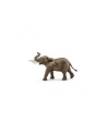 SCHLEICH Samiec słonia afrykańskiego - nr 12