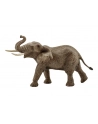 SCHLEICH Samiec słonia afrykańskiego - nr 13